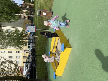 IMG_3528.jpeg