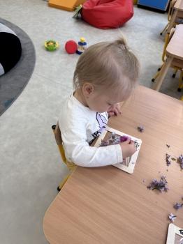 IMG_0374.jpeg