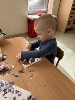 IMG_0378.jpeg