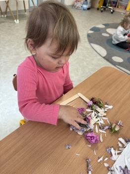 IMG_0384.jpeg