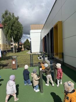 IMG_0440.jpeg
