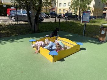 IMG_3596.jpeg