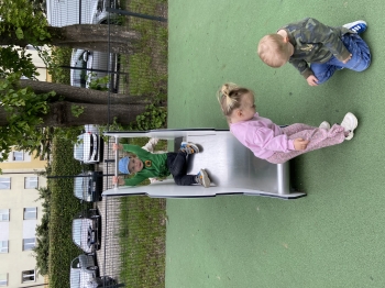 IMG_3782.jpeg