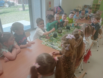 IMG20250415091749