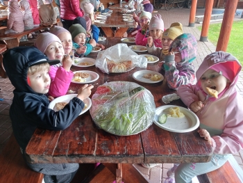 IMG20250515120252