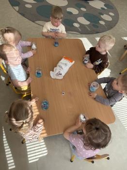 IMG_0539.jpeg