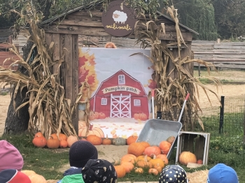 IMG_20251009_124806566