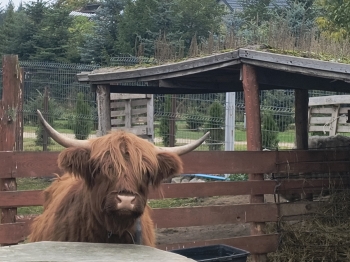 IMG_20251009_132803407