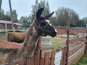 IMG_20251009_132846632_HDR