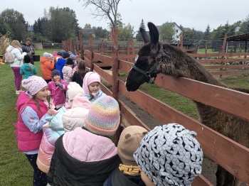 IMG_20251009_132955004_HDR