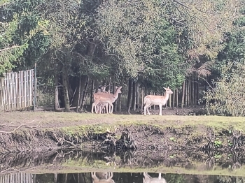 IMG_20251009_133550344_HDR