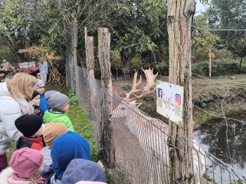 IMG_20251009_133648712_HDR