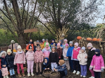 IMG_20251009_140319860_HDR