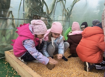 IMG_20251009_140520273