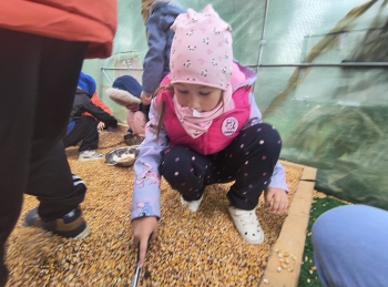 IMG_20251009_140641644_HDR