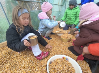 IMG_20251009_140656646_HDR