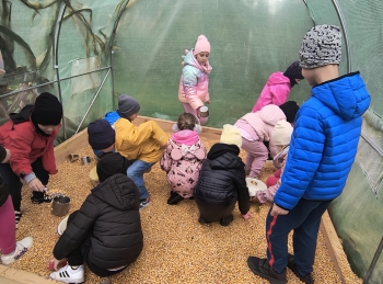 IMG_20251009_140814842_HDR