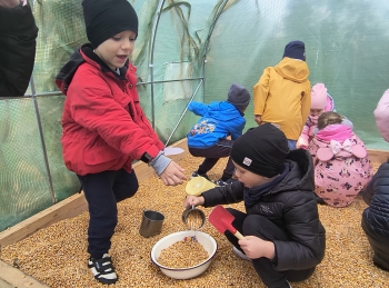 IMG_20251009_140829117_HDR