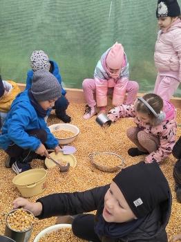 IMG_20251009_140859560_HDR