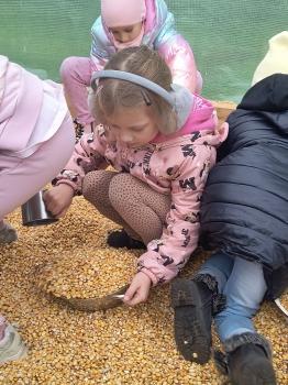 IMG_20251009_140910118_HDR