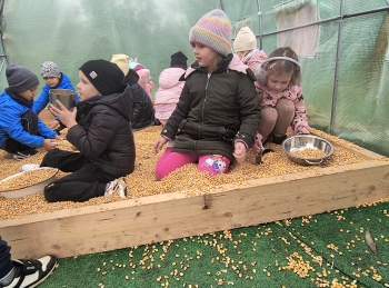 IMG_20251009_140934824_HDR