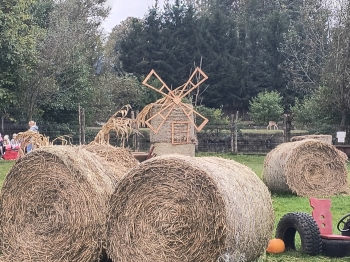 IMG_20251009_141419291_HDR