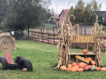 IMG_20251009_141424331_HDR