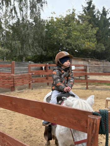 c4450528-fdc0-424f-a254-8daecf13b743