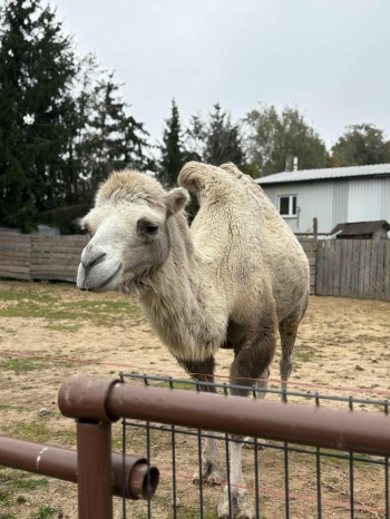 5f5ed362-1868-45f6-855a-3b41f6d435e9