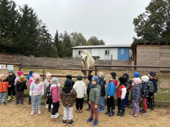 fcd94369-cb3e-452d-93c1-d8b8ca6ba2a1