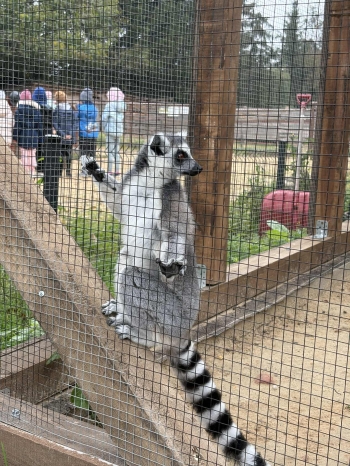 741b9787-0deb-4ff5-88f4-0518d9060ddc