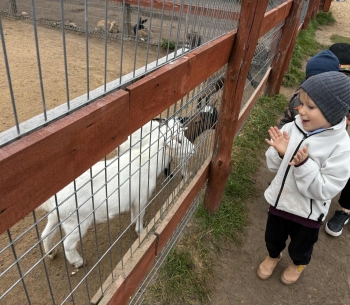 20dd8291-8eac-48b8-9ea7-3086a104ccad