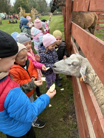 14a447d5-291a-42c5-a8de-91d4580acdc0