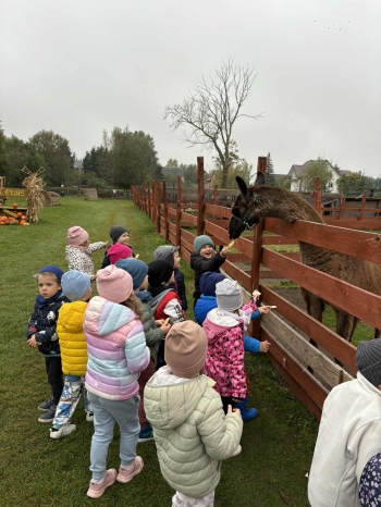 ed85b7b9-1da4-49aa-b1f4-d9cad7da3765