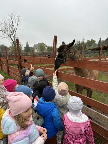 50c3f92b-e4ae-48df-93b2-593d7663c4a8