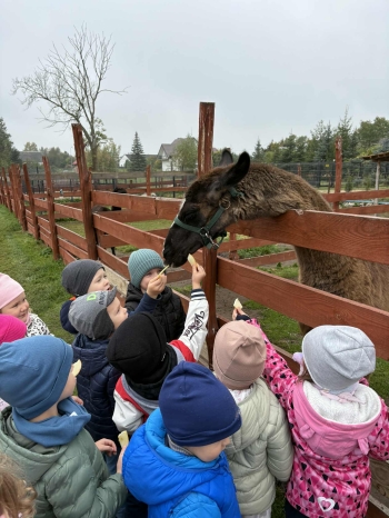 44916d09-7160-40ef-b85a-c24da97114b6