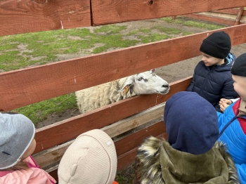 168273ad-8857-497c-bec8-101a5ed3694e