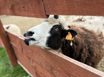 3f557a77-a24c-47b9-8e39-c1c91704d5b6