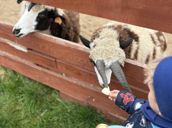 fa1da970-4c39-443f-95bc-09692bdadb95