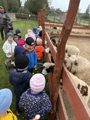 0fa2b3fc-6ada-4493-9794-92c07fa6b540