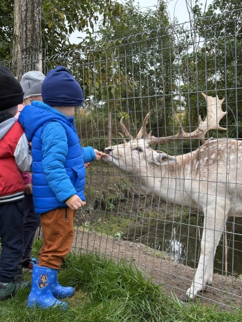 99bf153e-b974-4ad9-b5b1-4f4e7f61a5ec