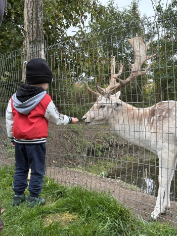 d88dc72e-ef36-4e16-adcf-6aa0313b2756