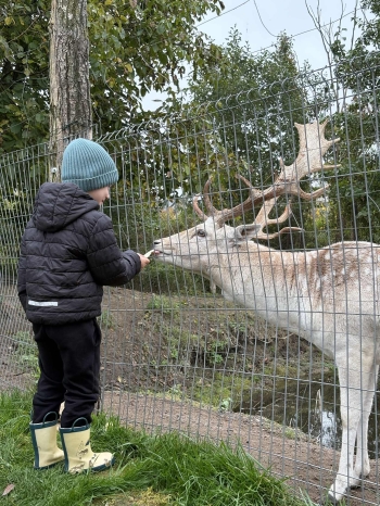 1bf8fa88-271a-439d-8f8a-e1cfb7977aec