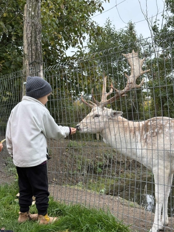 29feb208-7346-43be-b399-9d61c9f85852