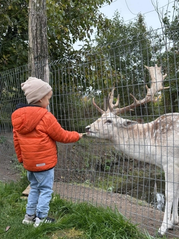 f0307cbe-5134-4800-8fd7-5ef217d4c8a8