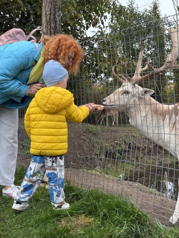 b16ed9cb-c060-4e48-b3b1-5aa86c8dc67c