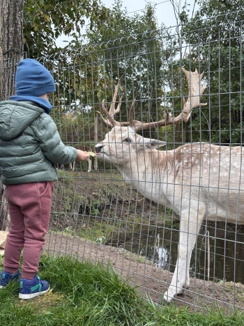 c44d778f-4cd5-4aef-95aa-4face5f1fb50