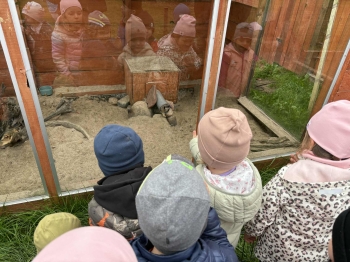 e1b2eba3-c829-4a55-835c-8de02ed1a5e8