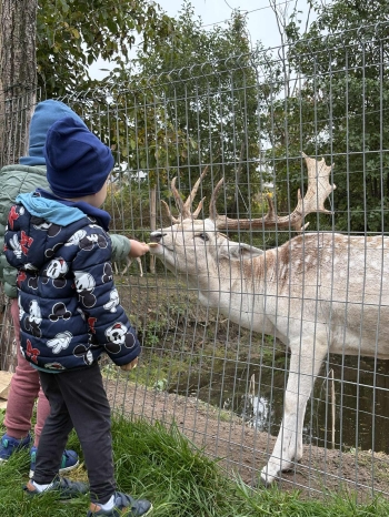 91bfe625-00ba-43b8-bb8a-cbf1bb5d3165