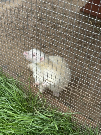 9ca390a9-5b80-46a9-8811-fb1d0c481079